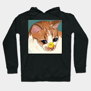 cheap cat Hoodie